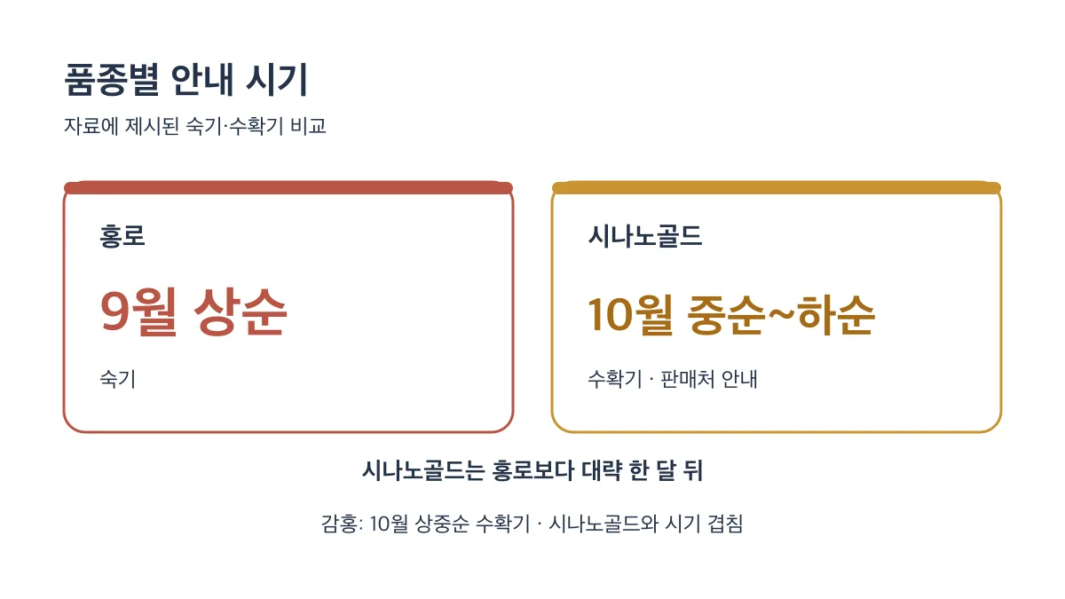 홍로는 9월 상순 숙기, 시나노골드는 10월 중순~하순 수확기로 대략 한 달 뒤이며 감홍은 10월 상중순에 수확합니다