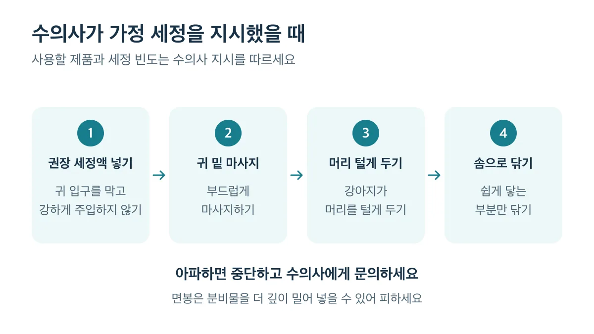 수의사가 지시한 귀 세정은 권장 세정액 넣기, 귀 밑 마사지, 머리 털게 두기, 솜으로 닦기 순서로 진행하며 아파하면 중단하세요