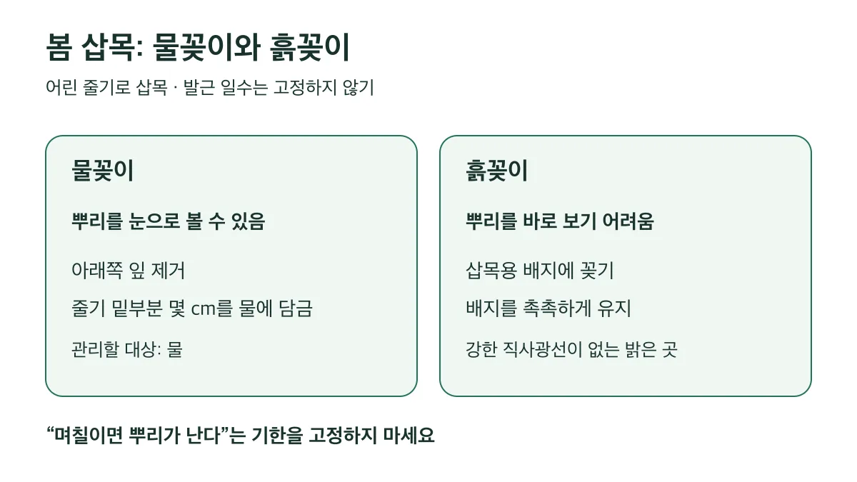 봄 삽목의 물꽂이는 물속 뿌리를 관찰할 수 있고 흙꽂이는 삽목용 배지를 촉촉하게 관리합니다