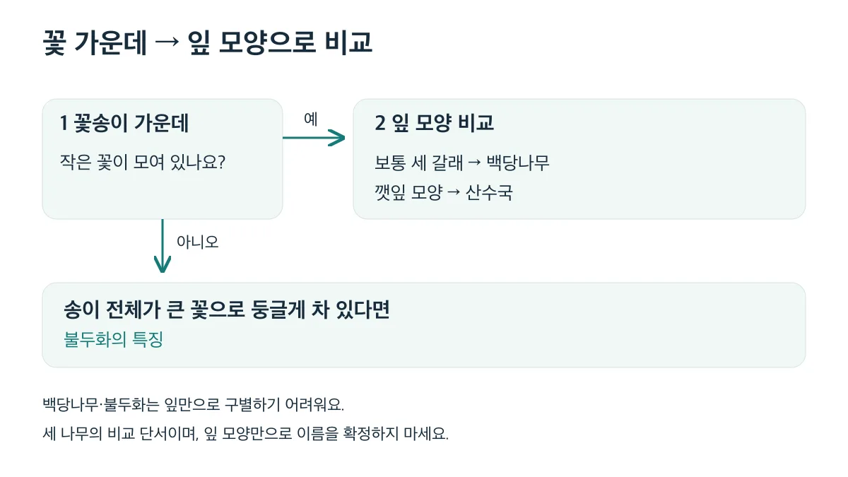 꽃 가운데의 작은 꽃을 먼저 보고 잎 모양으로 백당나무·불두화·산수국을 비교하는 순서