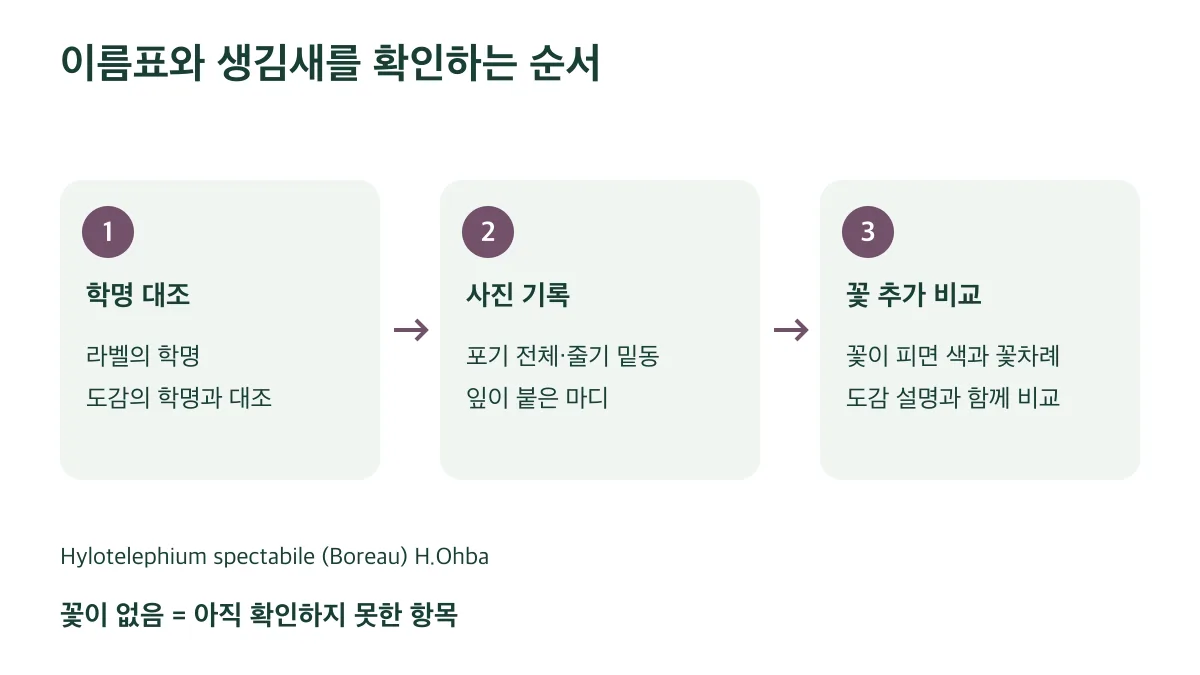 학명을 대조하고 포기와 잎 마디를 촬영한 뒤 꽃이 피면 추가 비교한다