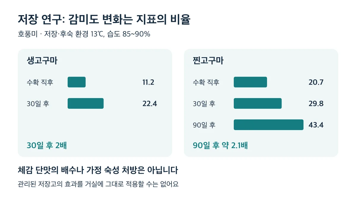 호풍미 저장 연구에서 생고구마 감미도는 30일 후 2배, 찐고구마는 90일 후 약 2.1배입니다