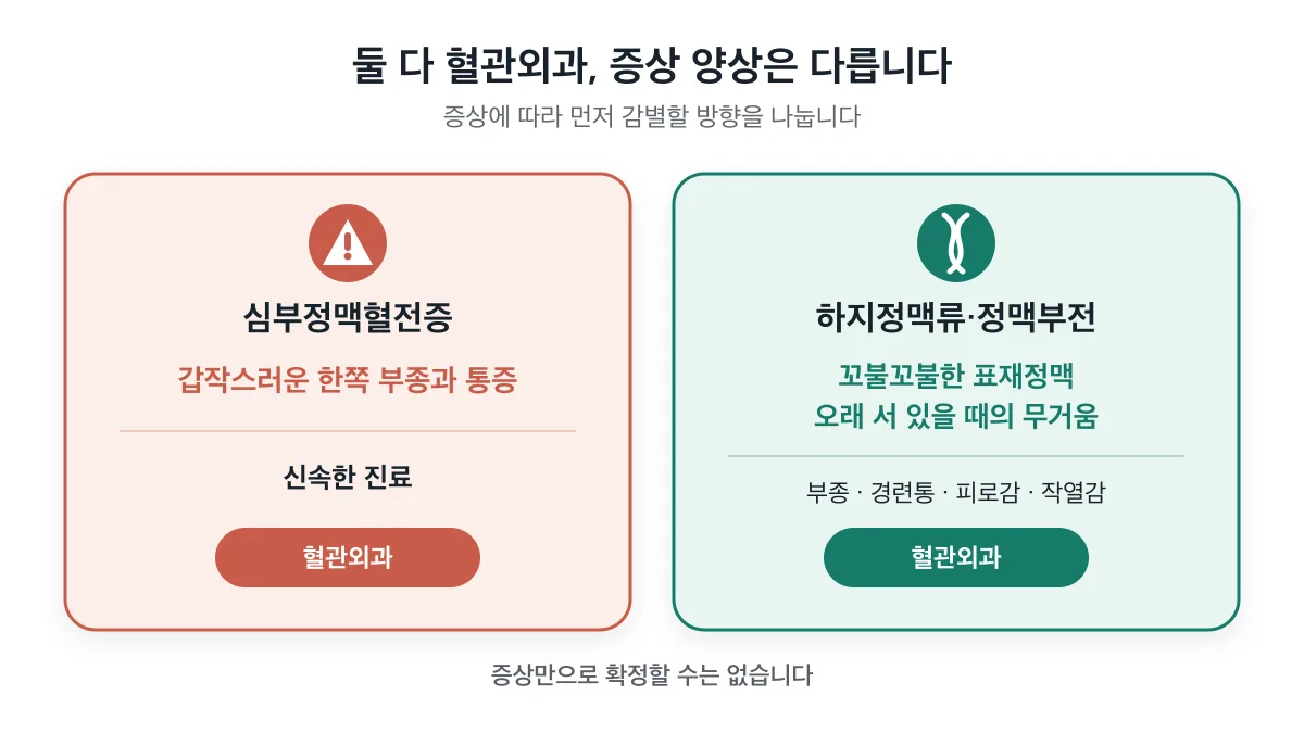 갑작스러운 한쪽 부종과 통증은 신속한 진료가 필요하고 오래 서 있을 때의 무거움과 표재정맥은 하지정맥류 단서임을 비교