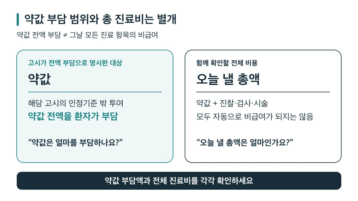 인정기준 밖에서 전액 환자 부담으로 명시된 약값과 진찰·검사·시술을 포함한 총 진료비는 각각 확인해야 합니다