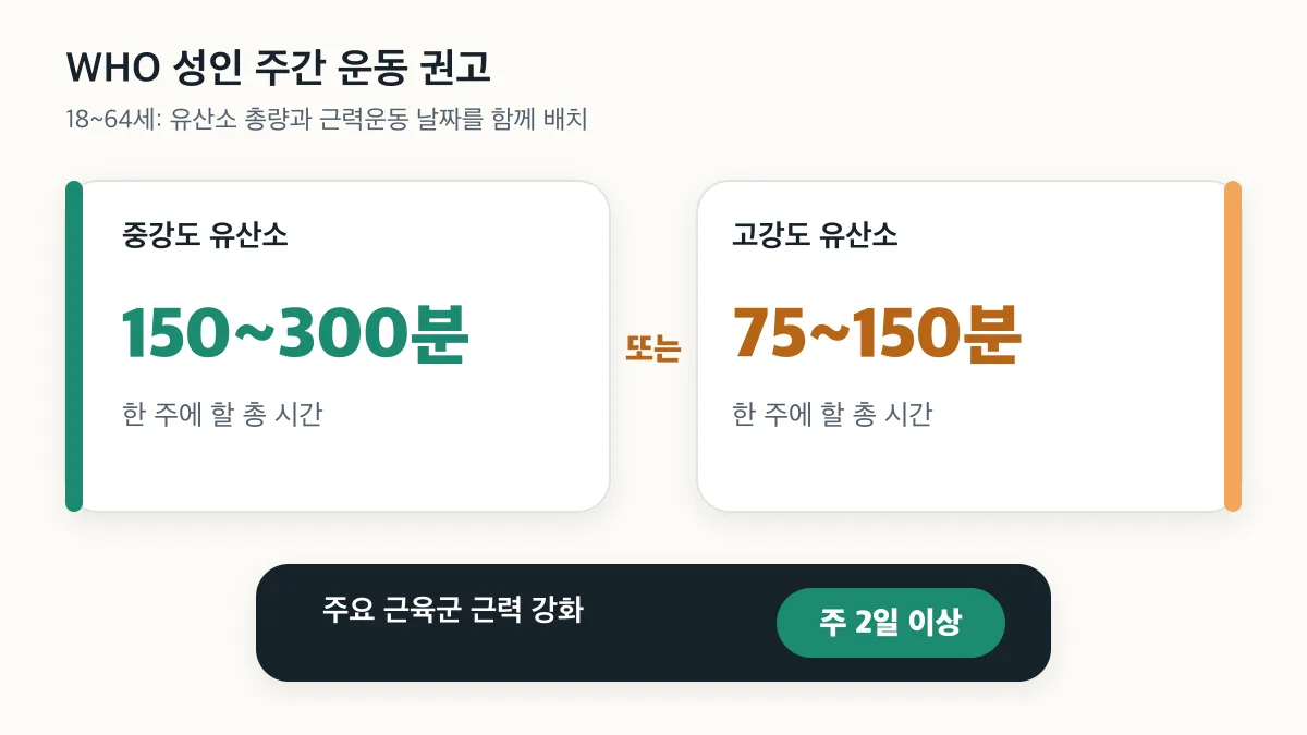 중강도 유산소 주 150300분 또는 고강도 주 75150분과 근력운동 주 2일 이상 권고