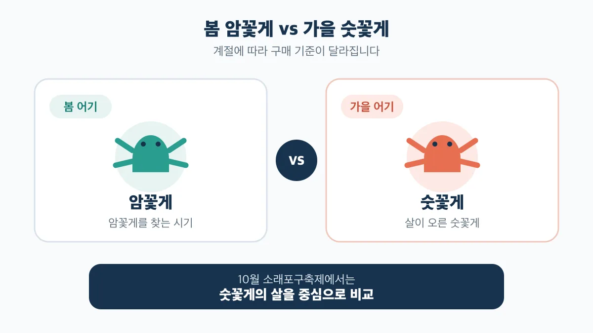 봄에는 암꽃게를 찾고 10월 가을에는 살이 오른 숫꽃게를 중심으로 비교하는 계절별 구매 기준