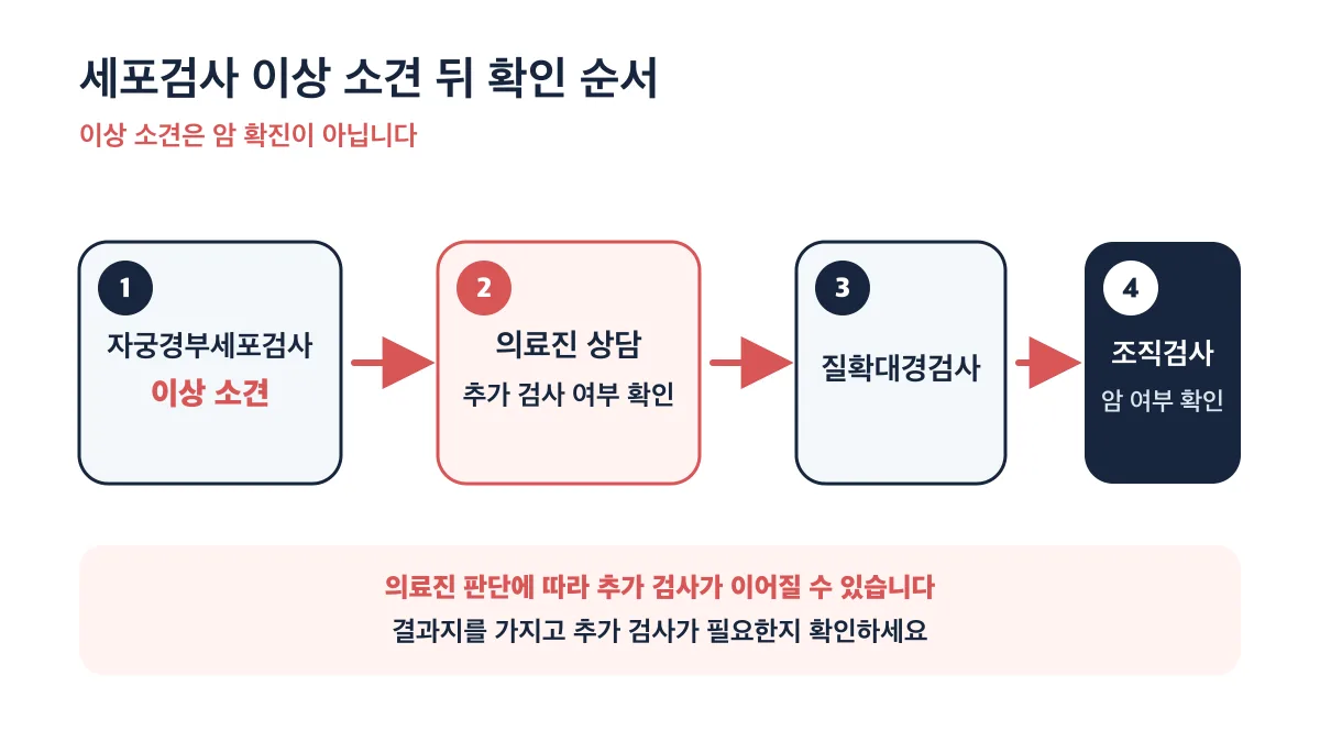 세포검사 이상 소견 뒤 의료진 상담과 추가 검사 확인 순서