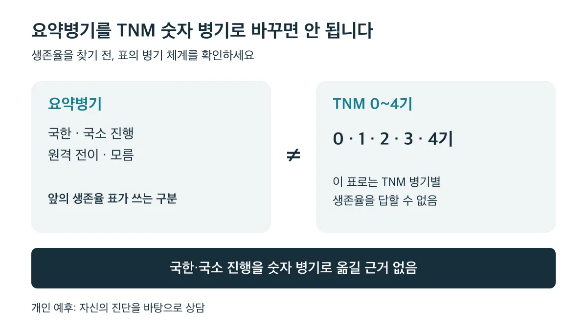 요약병기와 TNM 0~4기는 다른 구분이며, 국한을 1기로 또는 국소 진행을 2·3기로 바꿔 생존율을 읽을 수 없다