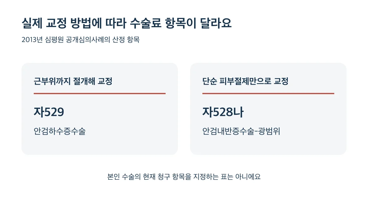2013년 사례에서 근부위 절개 교정은 자529, 단순 피부절제 교정은 자528나로 제시됐습니다