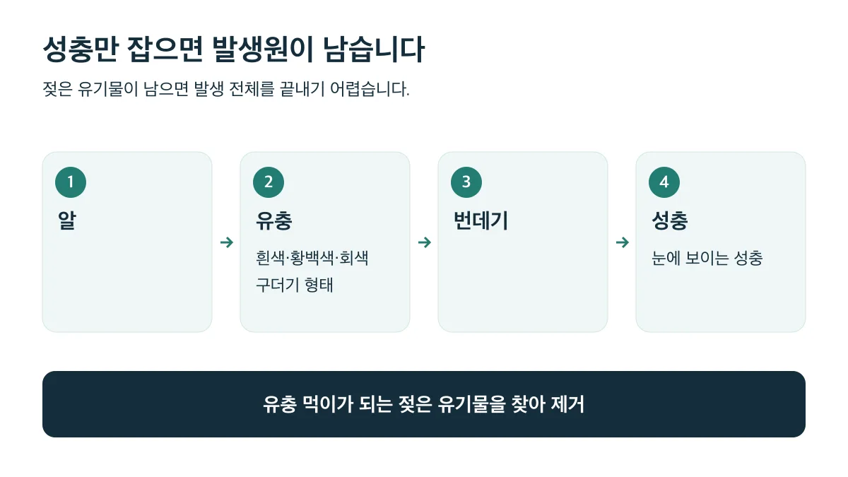알·유충·번데기·성충으로 발달하므로 성충 제거와 함께 젖은 유기물을 제거해야 합니다