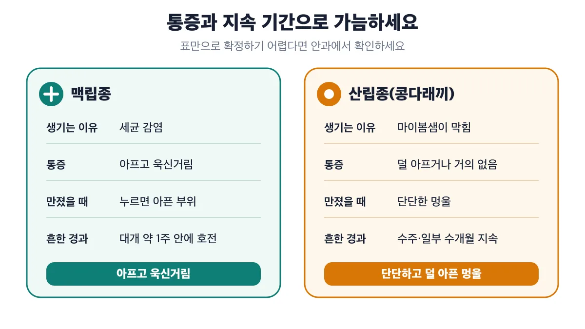 맥립종과 산립종의 통증과 지속 기간 차이